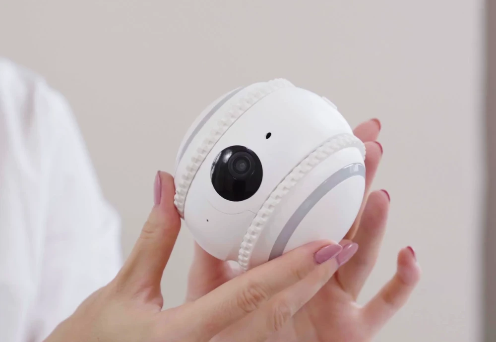 moving pet camera